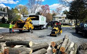 Best Arborist Consultation Services  in Stro Valley, CA